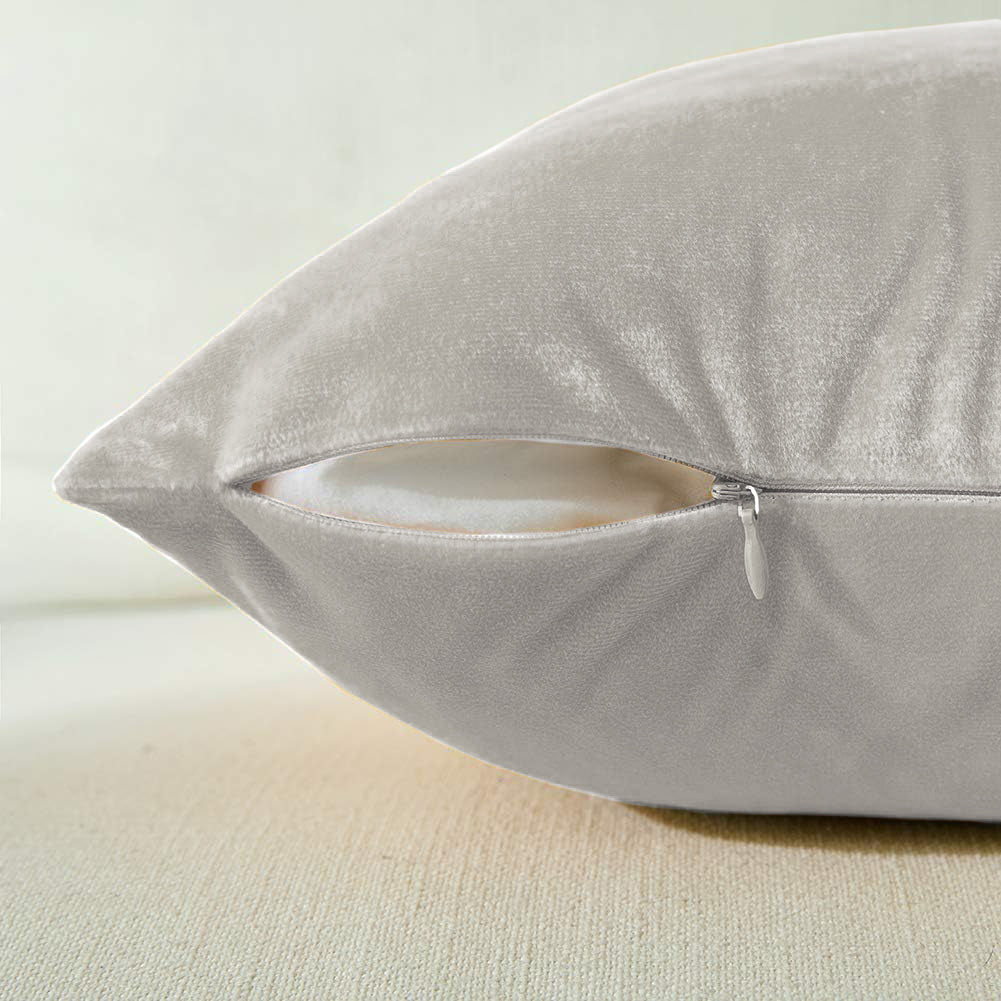 Premium Velvet Set of 2 Decorative Throw Pillow/Cushion Covers with Gold Stripe