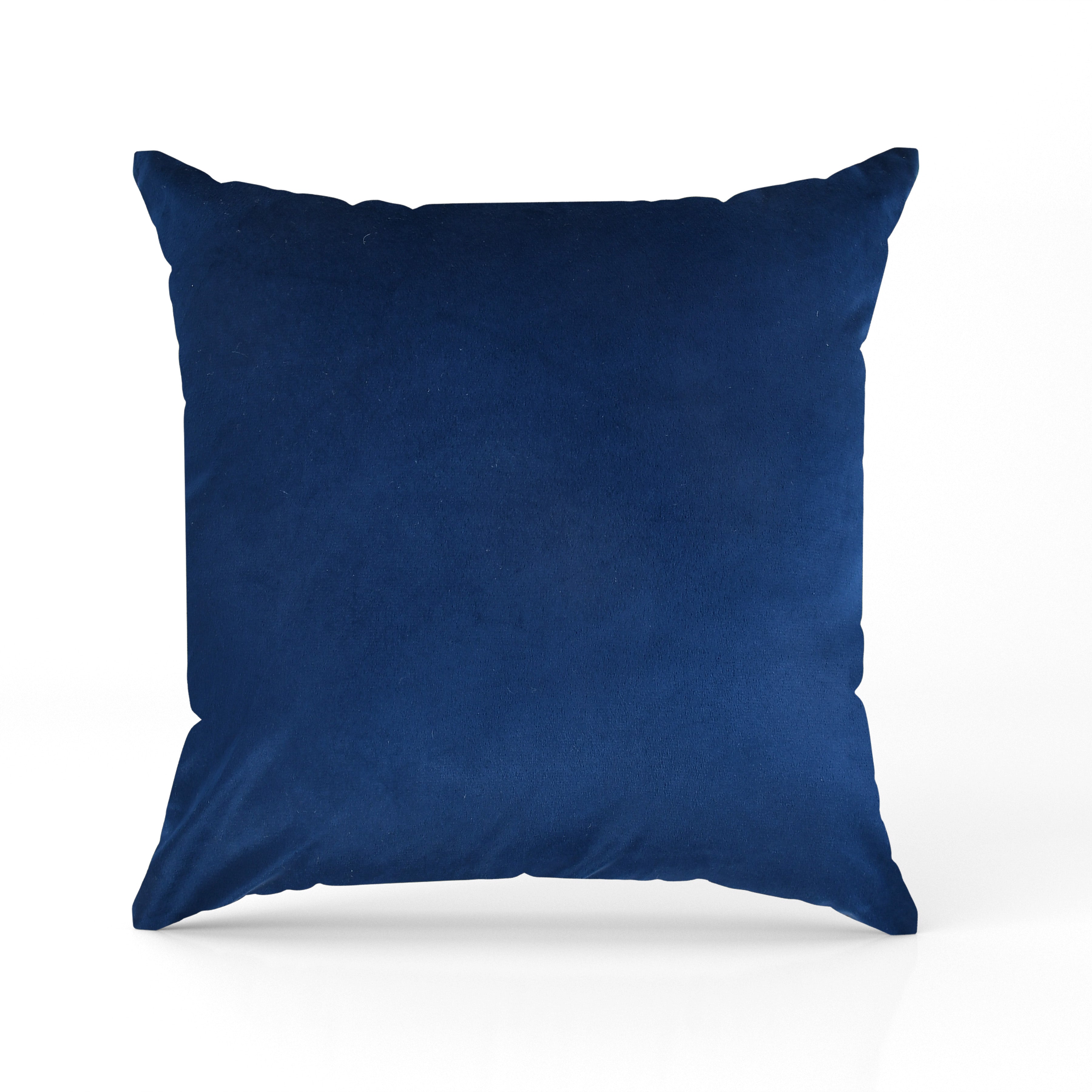 Premium Velvet Set of 2 Decorative Throw Pillow/Cushion Covers