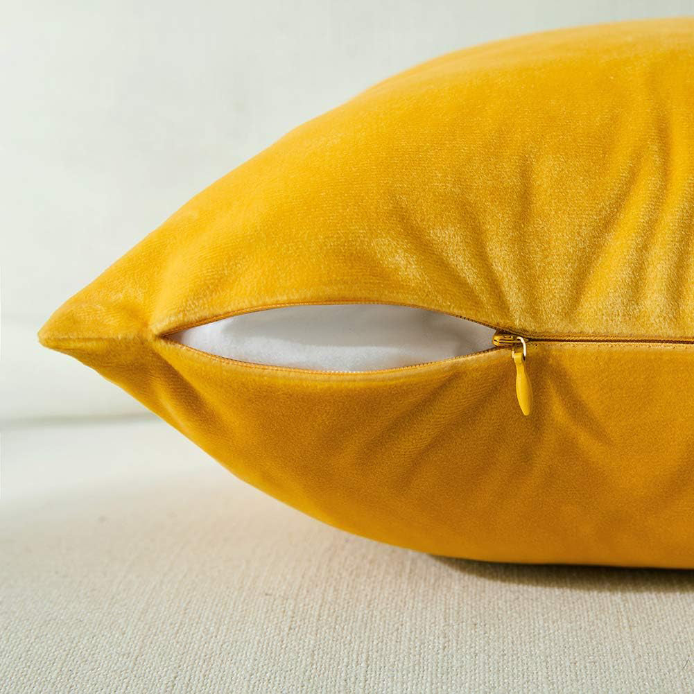 Premium Velvet Set of 2 Decorative Throw Pillow/Cushion Covers with Gold Stripe