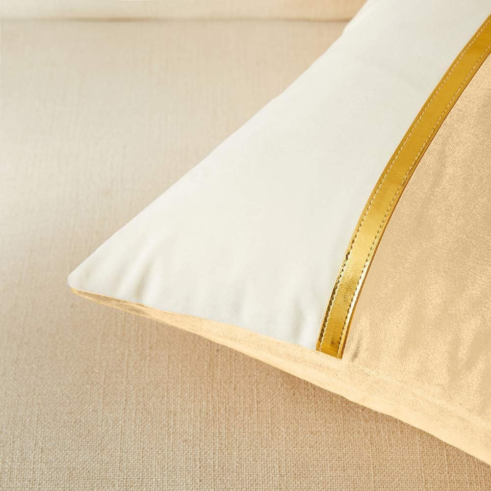Premium Velvet Set of 2 Decorative Throw Pillow/Cushion Covers with Gold Stripe