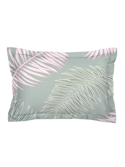Glace Cotton Abstract Flat Fitted Bedsheet with 2 Pillow Covers