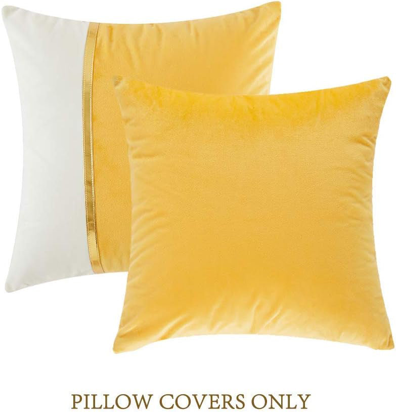 Premium Velvet Set of 2 Decorative Throw Pillow/Cushion Covers with Gold Stripe