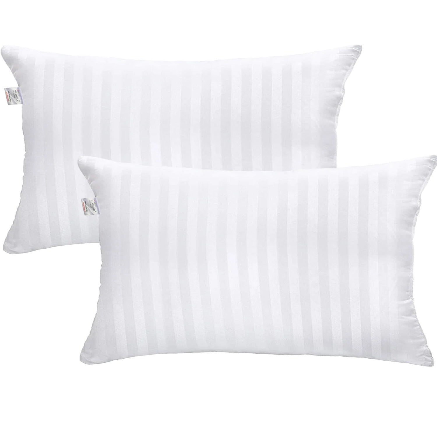 Premium Set of 2 Hollow Dream Hypoallergenic Filler Bedcushion /Throw Pillow Insert