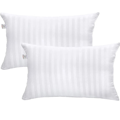 Premium Set of 2 Hollow Dream Hypoallergenic Filler Bedcushion /Throw Pillow Insert