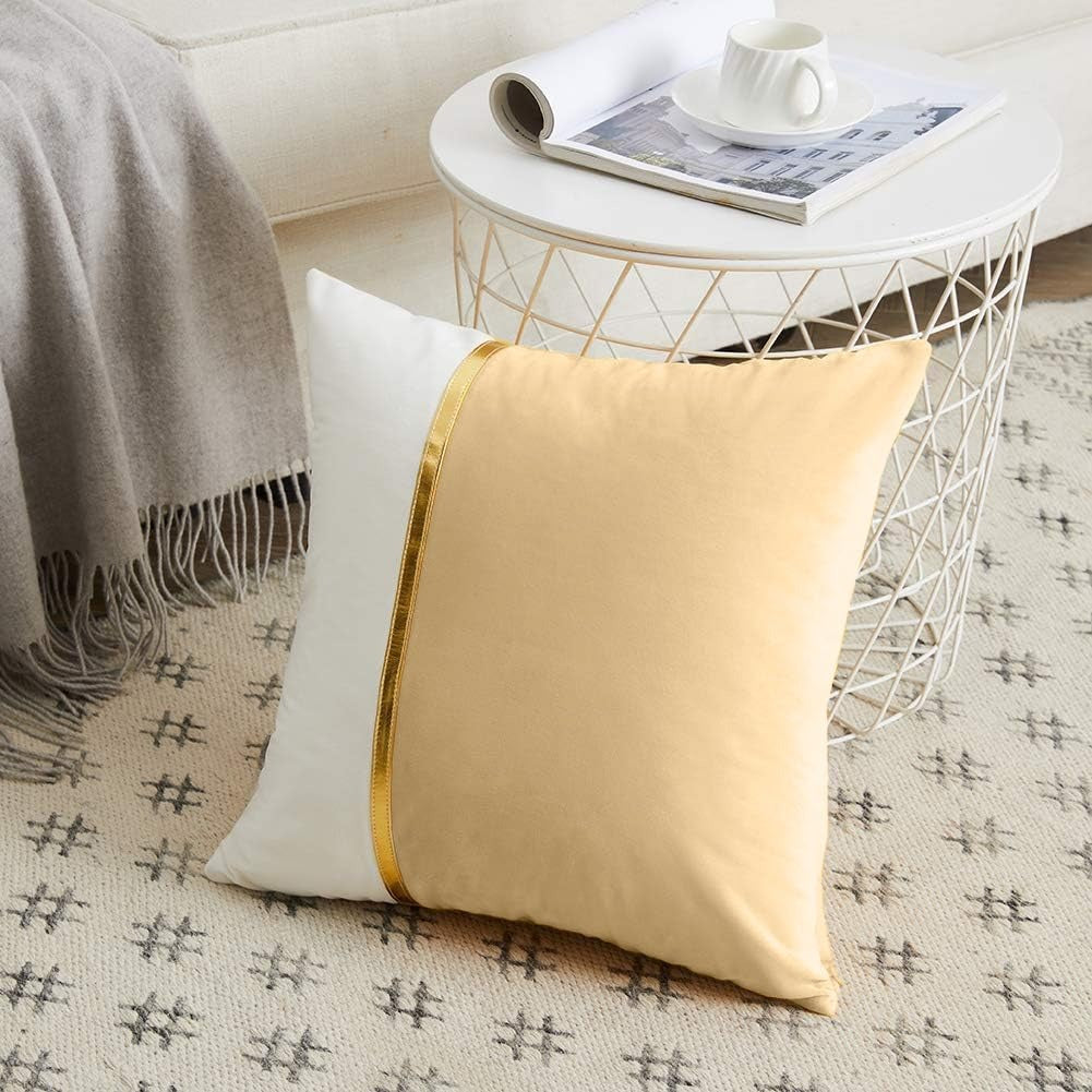 Premium Velvet Set of 2 Decorative Throw Pillow/Cushion Covers with Gold Stripe